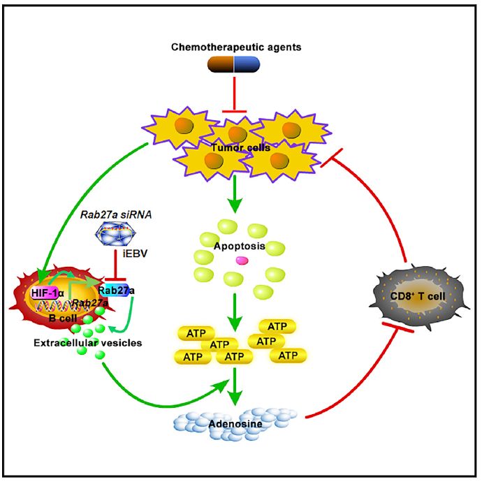 “008pg国际版官网入口”季涛:艺术品收藏应趋向大众化作者:季涛2017-01-2012:05:27来源:中国文化报近日,由英国伦敦大学金史密斯学(图4) 008pg国际官网版