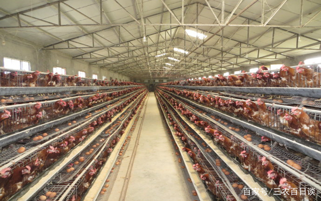 热火宣布:正式与韦德签续约合同, 莱利:希望他回来!_pg国际008国际官网(图3) 008pg国际版官网入口