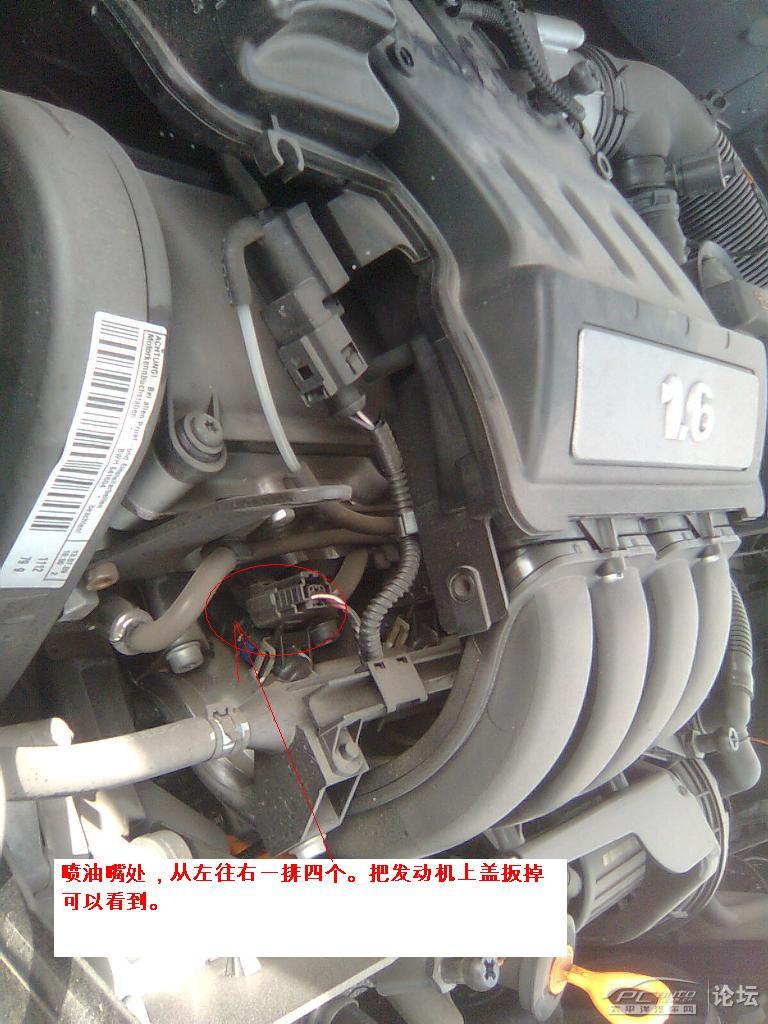 008pg国际官网版