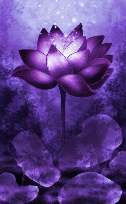 pg国际008国际官网