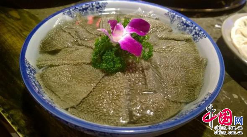 008pg国际官网版