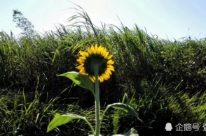 pg国际008国际官网