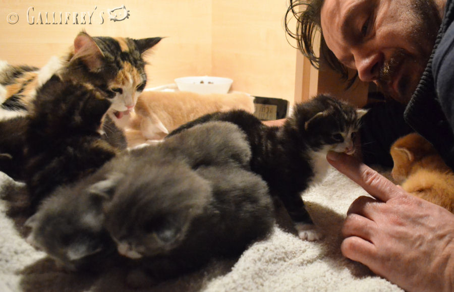 pg国际008国际官网