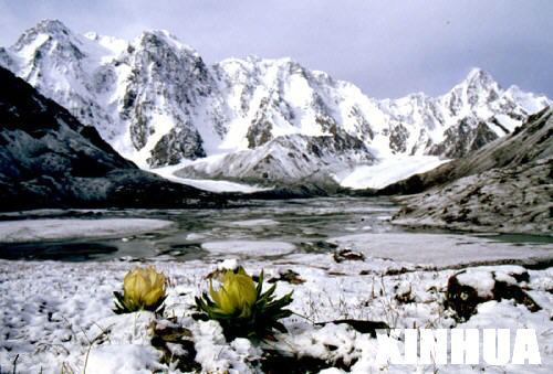 互联网+传统产业:颠覆还是融合?“008pg国际官网版”(图2) pg国际008国际官网