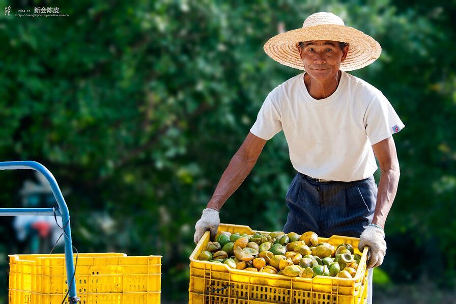 【pg国际008国际官网】数控机床行业仍无法实现自主化 结构性矛盾突出(图3) pg国际008国际官网