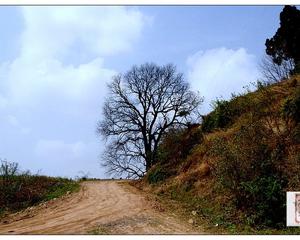 四方电气完成同步电机资产收购:008pg国际官网版(图2) 008pg国际官网版