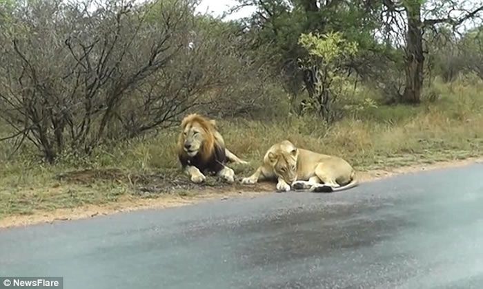 礼品翡翠满足人们各类礼品需求_008pg国际版官网入口(图2) 008pg国际版官网入口