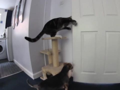 008pg国际官网版