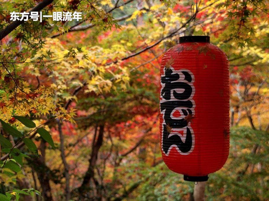 库克加盟湖人:008pg国际版官网入口(图4) 008pg国际官网版