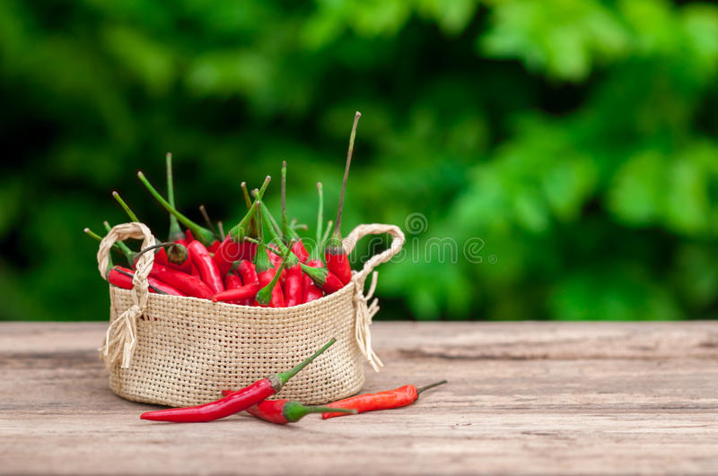 诚轩16春书画:齐白石艺术精赏|008pg国际官网版(图3) 008pg国际官网版