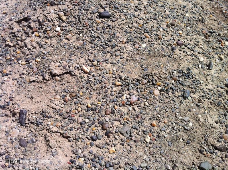 008pg国际官网版_于非闇作品:投资欣赏两相宜(图2) 008pg国际版官网入口