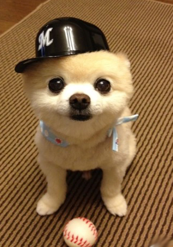 pg国际008国际官网