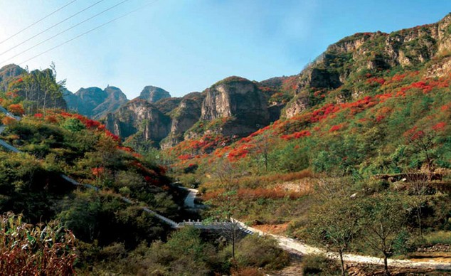 珞石:聚焦技术与品质 叩响机器人市场“大门”‘008pg国际官网版’(图2) pg国际008国际官网