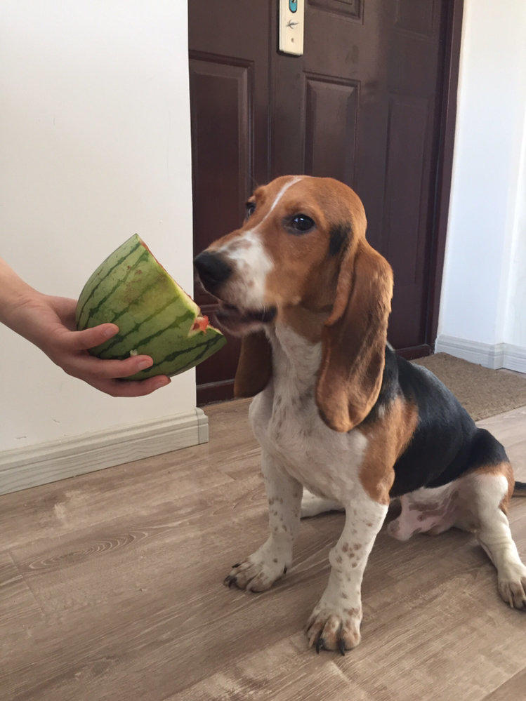 pg国际008国际官网