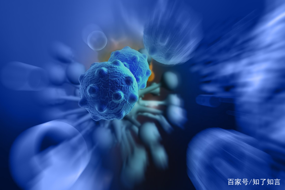 008pg国际版官网入口