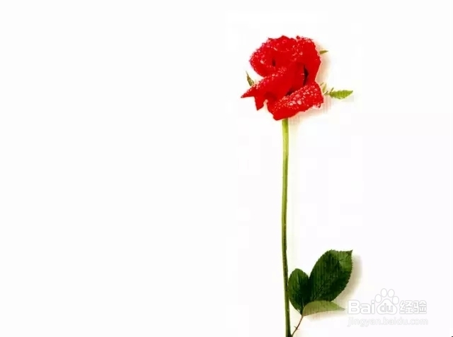 pg国际008国际官网