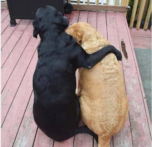 008pg国际官网版