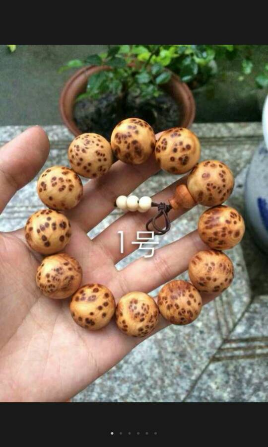 008pg国际版官网入口