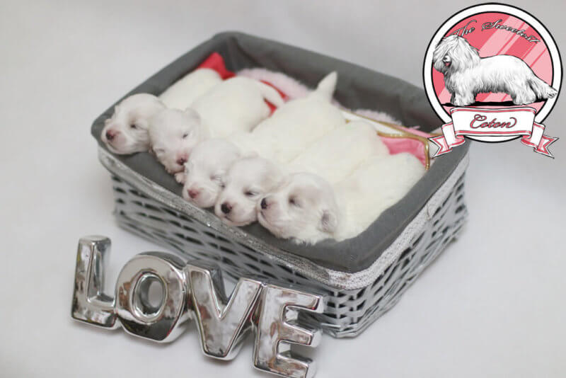 008pg国际版官网入口