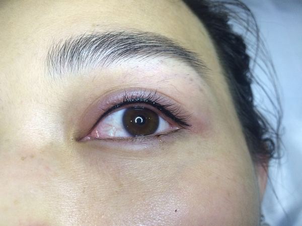 008pg国际官网版