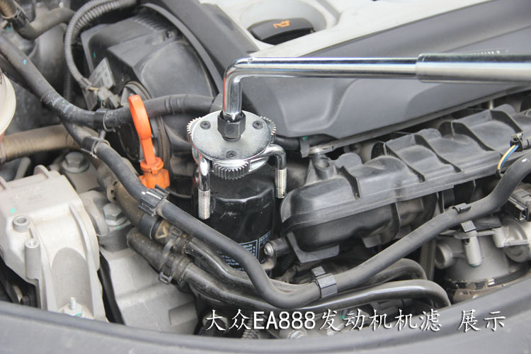 008pg国际版官网入口