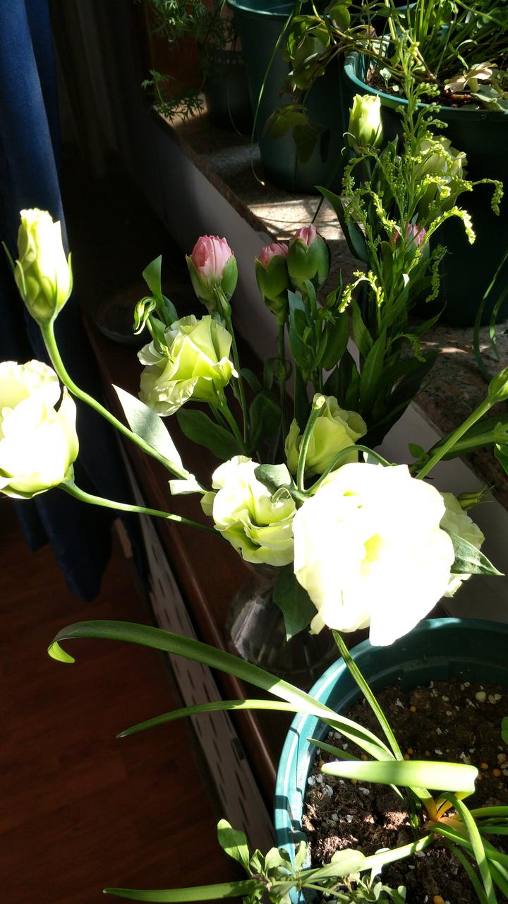 008pg国际版官网入口