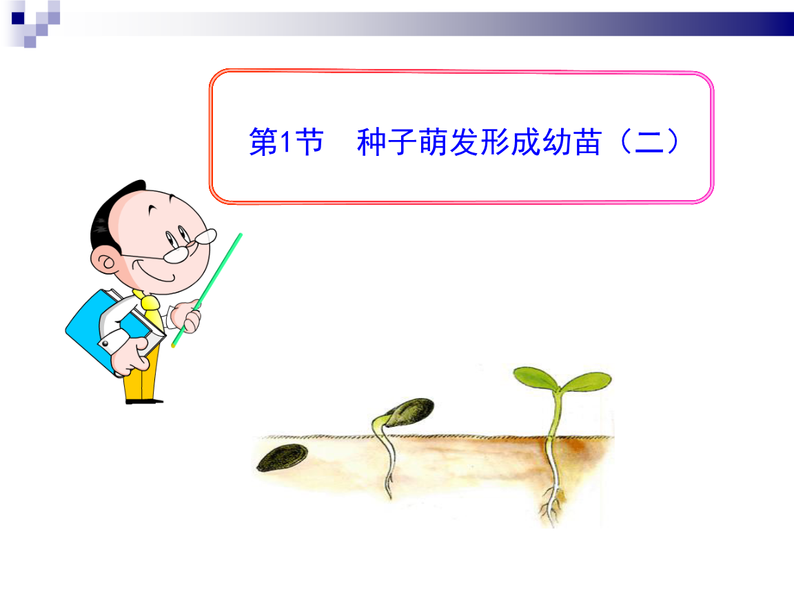 008pg国际官网版